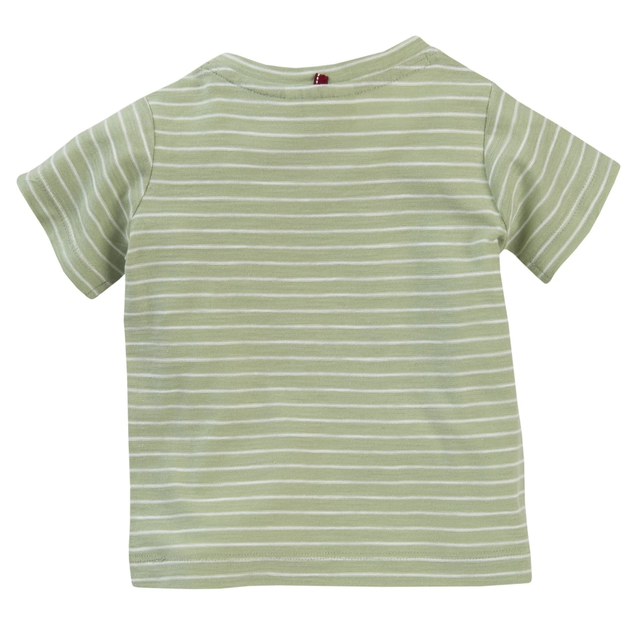 People Wear Organic T-Shirt Lindgrün Geringelt Schildkröte 2 People Wear Organic T-Shirt Lindgrün Geringelt Schildkröte – Bild 2